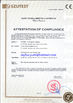 चीन YUSH CARTON MACHINE COMPANY प्रमाणपत्र